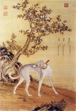 Chien œuvres - Cangshuiqiu un lévrier chinois de dix prized chiens album lang brillant Giuseppe Castiglione chien